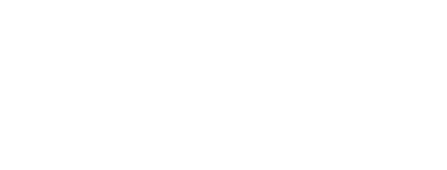 AVIREX WORK